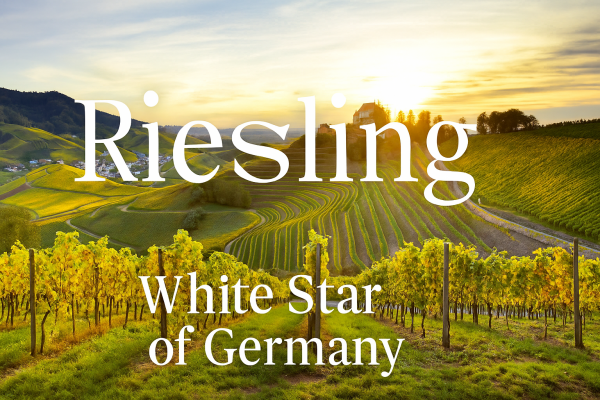 RIESLING White Star of Germany