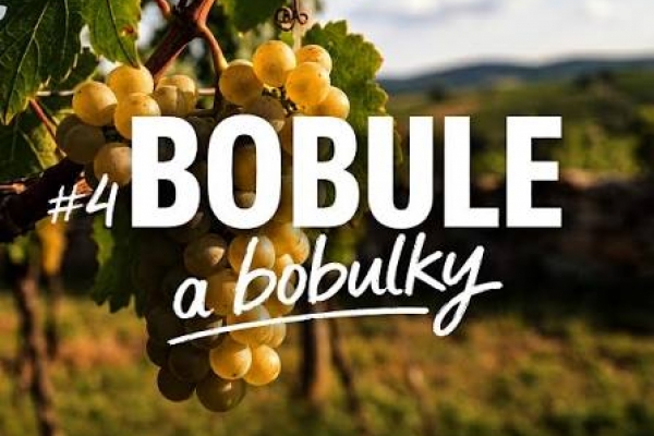 4BOBULE a bobulky: slavnostní premiéra filmu s degustací Vinařství Vican