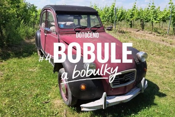 4BOBULE a bobulky: slavnostní premiéra filmu s degustací Vinařství Vican