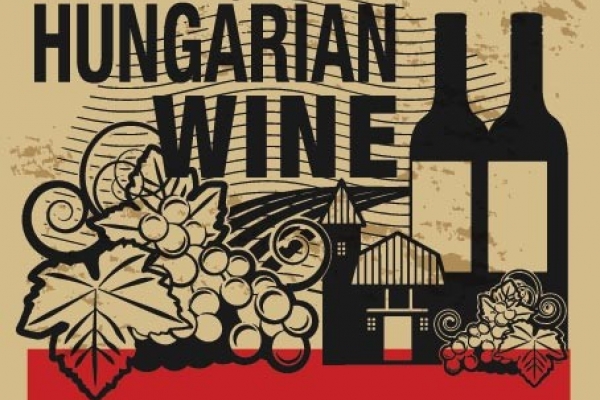 Cestovatelská degustace vín: Maďarsko s Maďarem