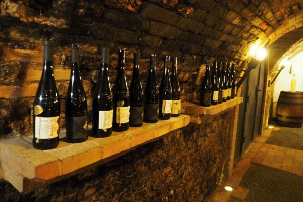 Putování po táborských sklepech za legendárními vinaři Moravy
